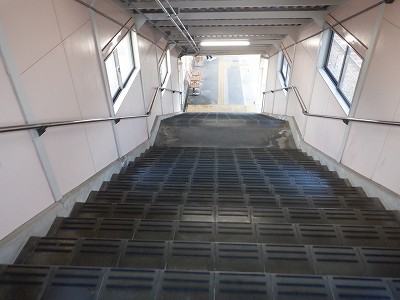 �����q�w�摜