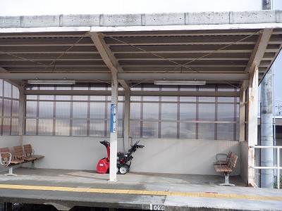 �����q�w�摜