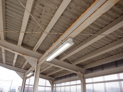 �����q�w�摜