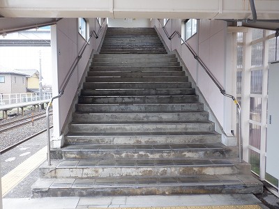 �����q�w�摜