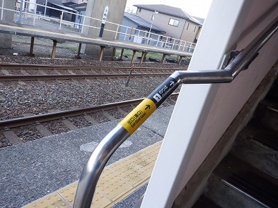 �����q�w�摜