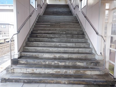 �����q�w�摜