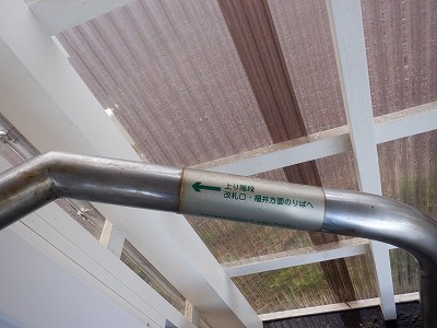 �����q�w�摜