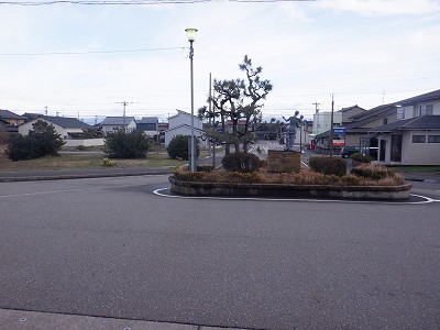 �����q�w�摜