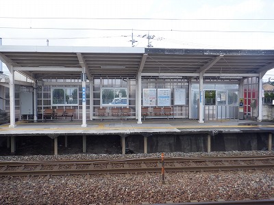 �����q�w�摜