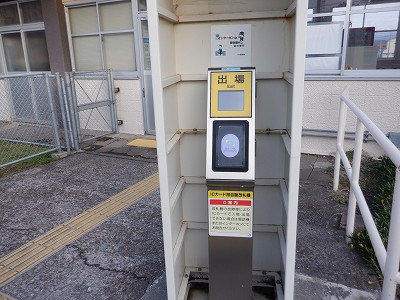 �����q�w�摜