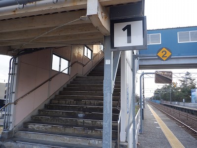 �����q�w�摜