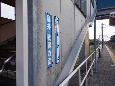 �����q�w�摜