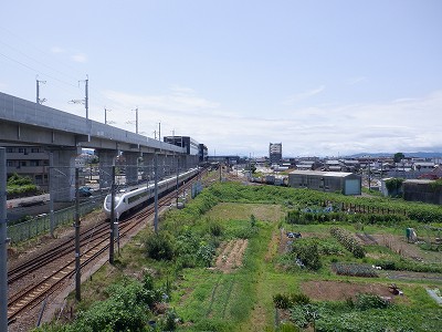 芦原温泉駅画像