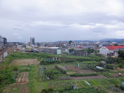 芦原温泉駅画像