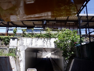 ꉷw摜