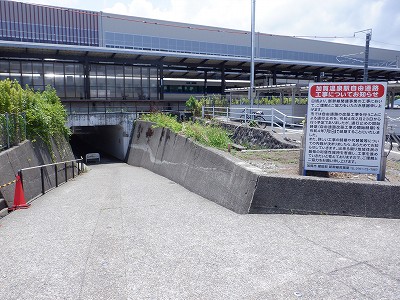 ꉷw摜