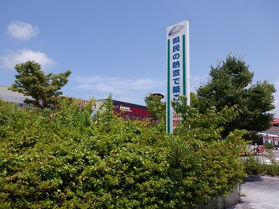 ꉷw摜