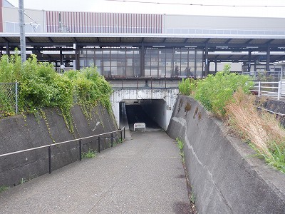 ꉷw摜