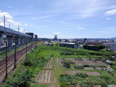 芦原温泉駅画像