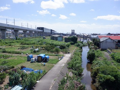 w摜