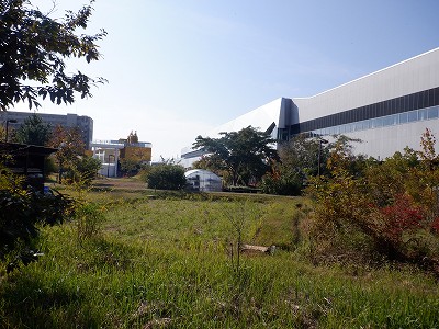 w摜