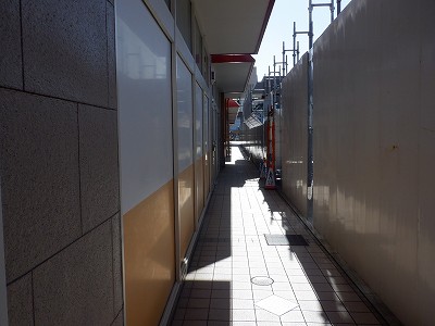 ꉷw摜