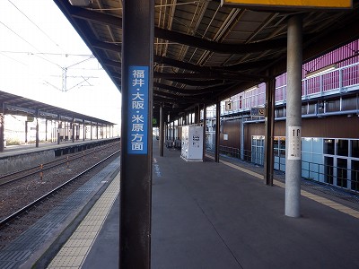 ꉷw摜
