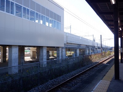ꉷw摜