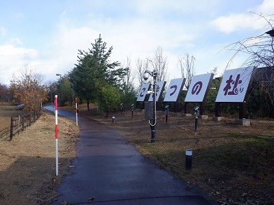 w摜