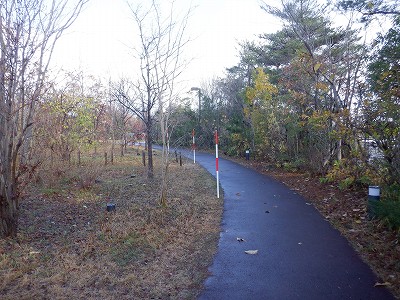w摜
