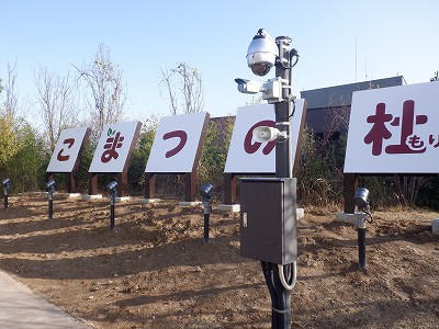 w摜