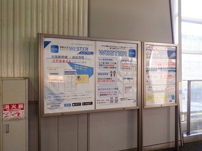 �����w�摜