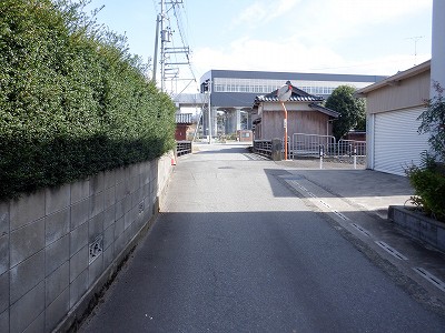 w摜