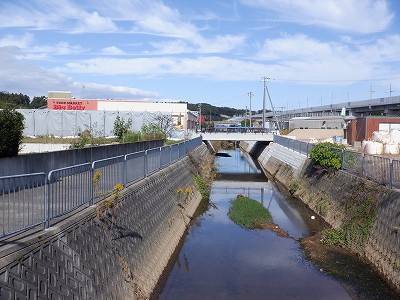 w摜