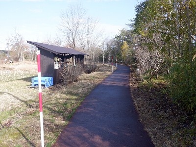 �����w�摜