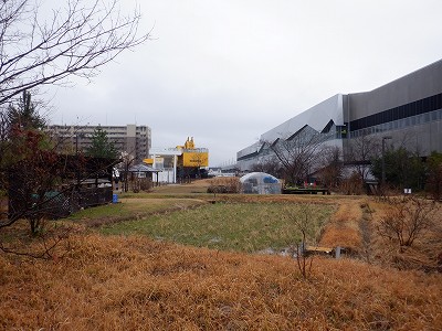 �����w�摜