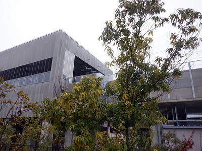 �����w�摜