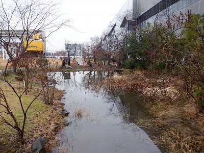 �����w�摜