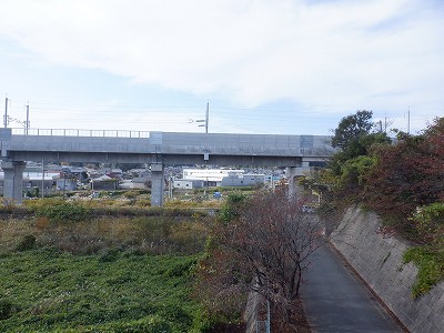w摜