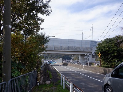 w摜
