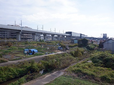 w摜