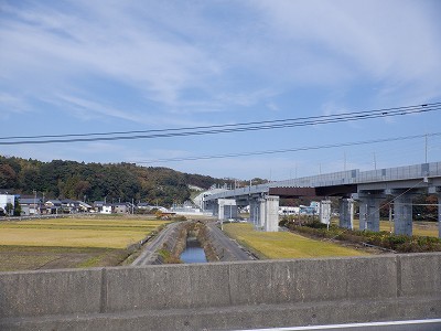 w摜