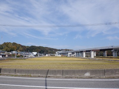 w摜
