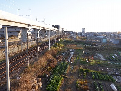 w摜