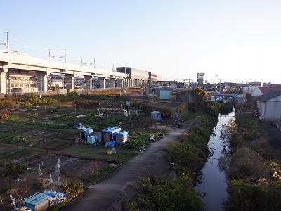 w摜