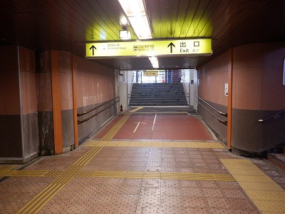 ꉷw摜