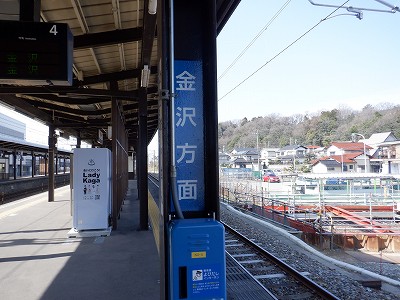 ꉷw摜