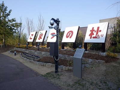 �����w�摜