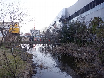 �����w�摜