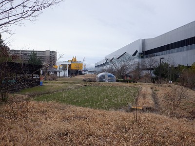 �����w�摜