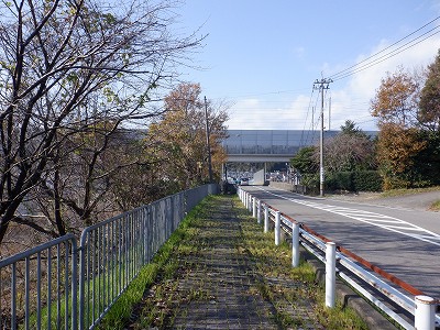 w摜