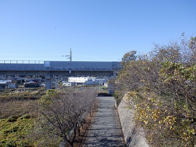 w摜