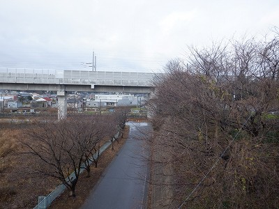 w摜