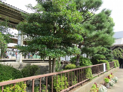 庭園
